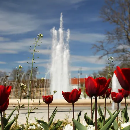 Отель Hotel Central Надьканижа