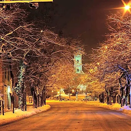 Otel Hotel Central Kanije