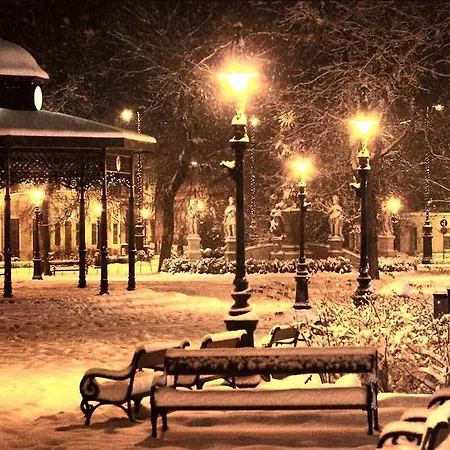 호텔 센트럴 나지카니자