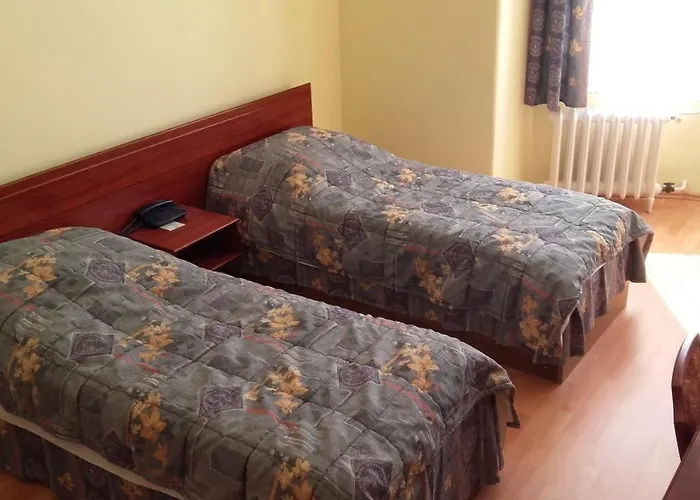 ホテル セントラル ホテル 3*