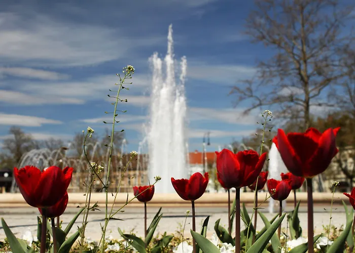 Hotel Hotel Central Nagykanizsa